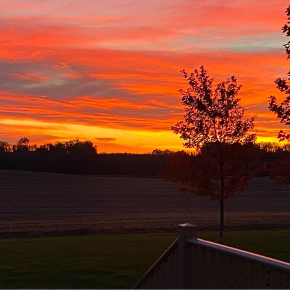 Meet your Posher, Jessica - Picture 1 of 1